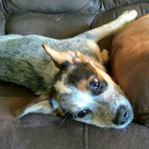 Meet your Posher, Brooke